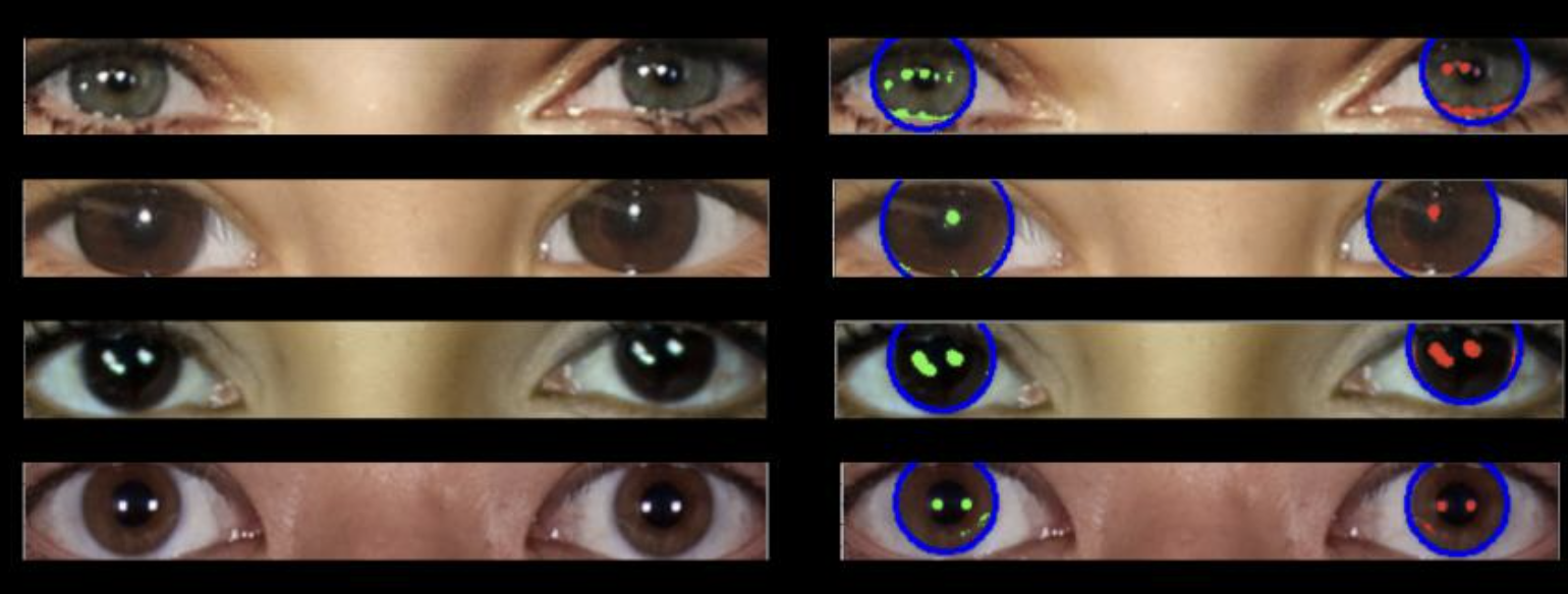 A series of real eyes showing largely consistent reflections in both eyes.