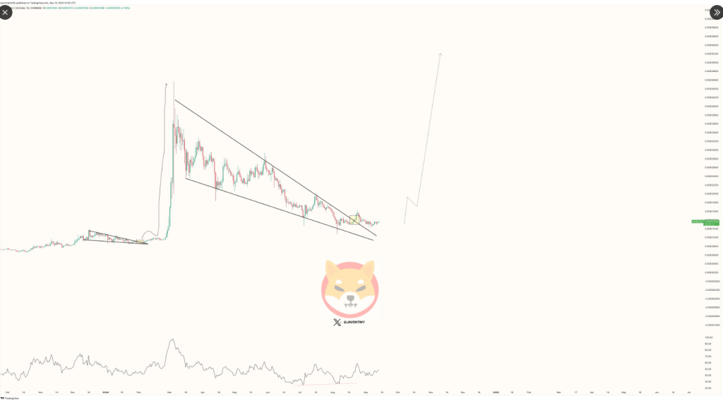 Shiba Inu Eyes Explosive 430% Climb As Momentum Builds —Analyst