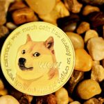 Historical Data Shows How High DOGE Will Go This Bull Cycle